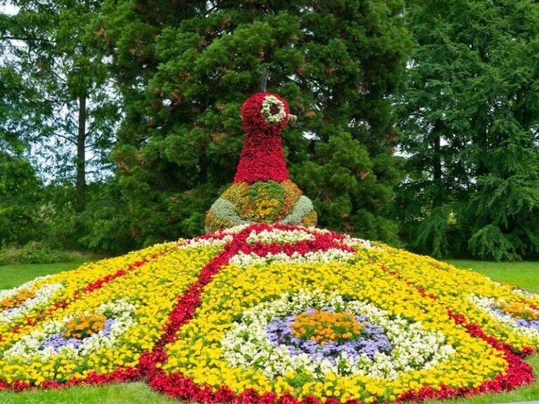 Jak wygodnie dojechać na wyspę Mainau – praktyczny przewodnik dla turystów