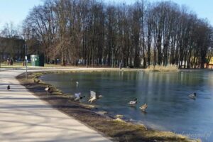 Odkryj zalew nowohucki: najłatwiejsze sposoby na dojazd