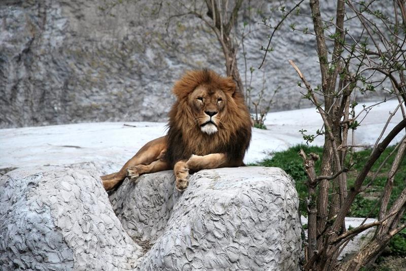 Optymalizacja czasu przejazdu