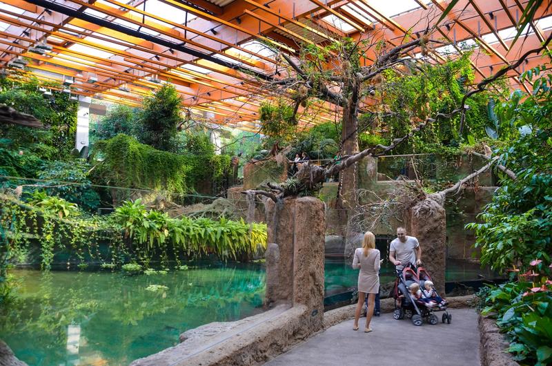 Rodzaje biletów Wrocławskiego Zoo