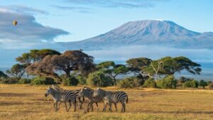 Jak długo trwa lot do Kenii z Polski? Przewodnik dla podróżników