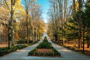 Polanica Zdrój – Praktyczny przewodnik dojazdu do urokliwej uzdrowiskowej miejscowości