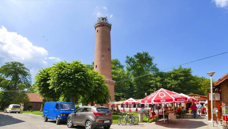 Grzybobranie dla początkujących