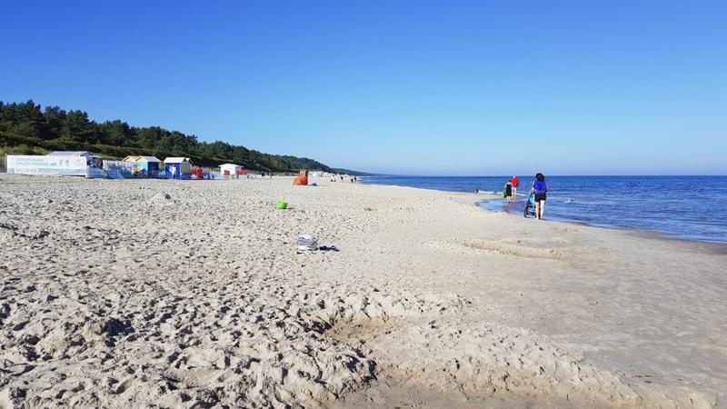 Alternatywne dojazdy rower i busy