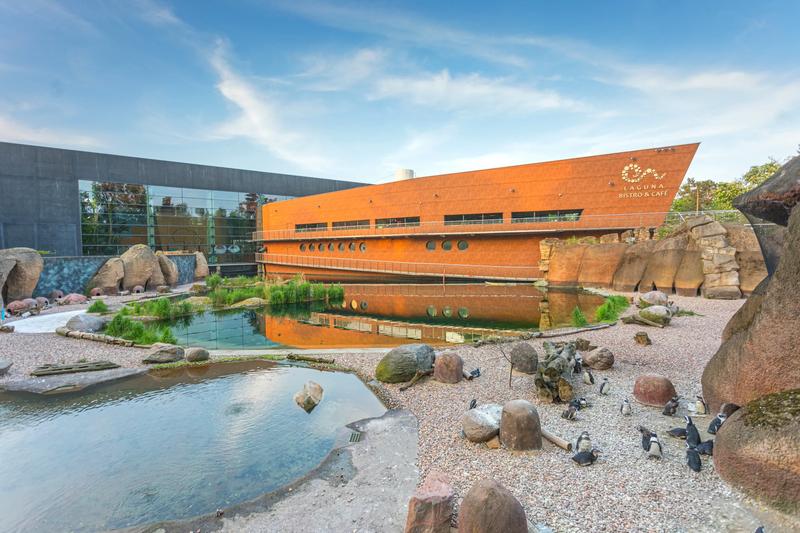 Transport publiczny Wrocław zoo