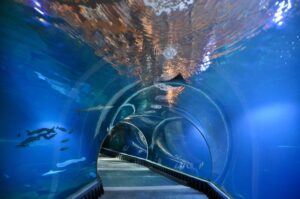 Sprawdź, jak łatwo dojechać do zoo we Wrocławiu z dworca PKP