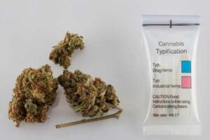 Jakie limity tytoniu obowiązują przy przewozie do Szwajcarii?