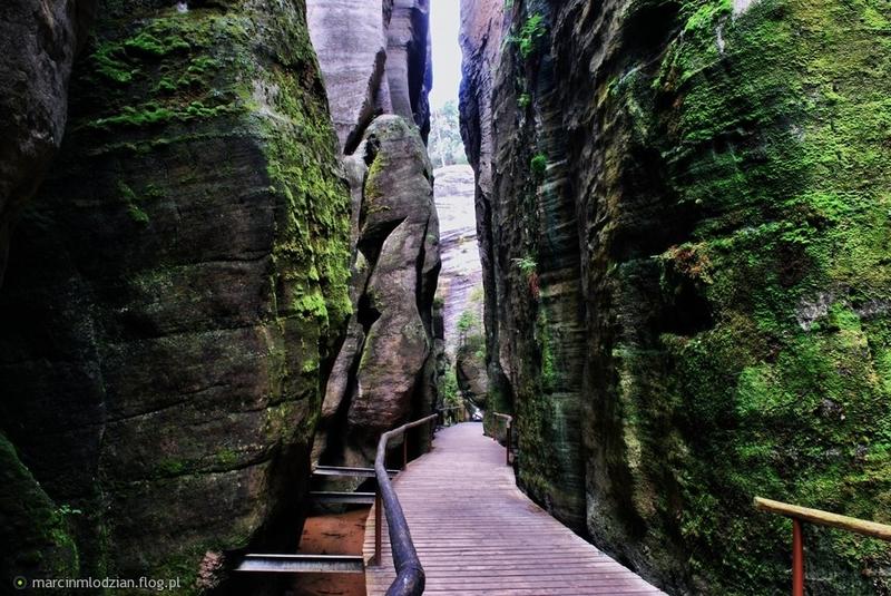 Fauna i flora Skalnego Miasta