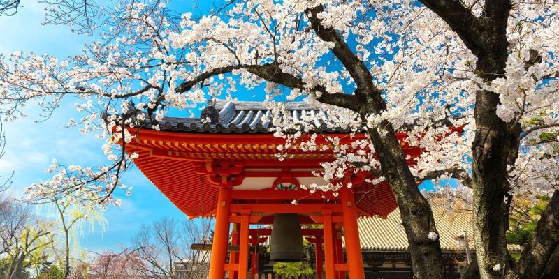 Loty z Poznania do Japonii