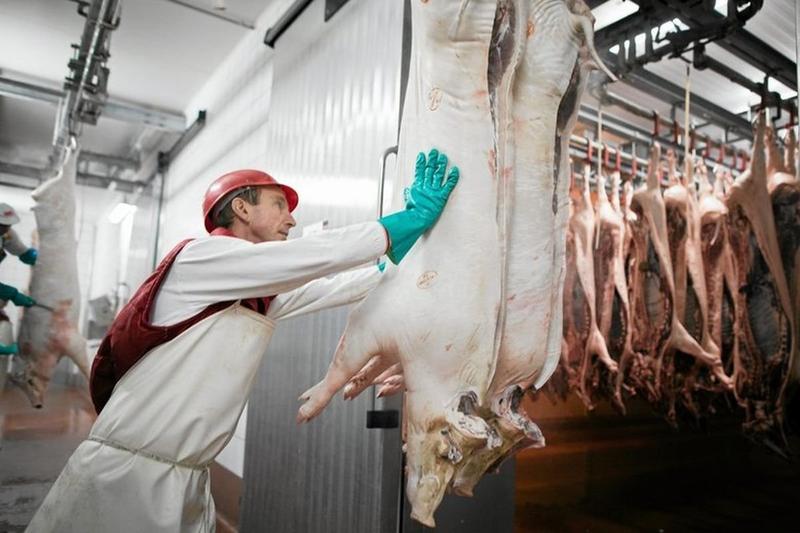 Regulacje dotyczące przewozu żywności